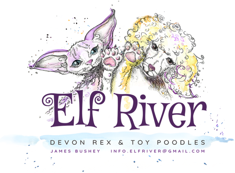 Logo Elf River